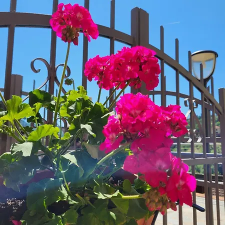 Casa Dolce Casa, A 10 Minuti Dal Mare * كاسارزا ليغير