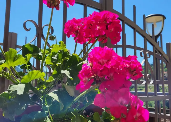 Casa Dolce Casa, A 10 Minuti Dal Mare * Casarza Ligure